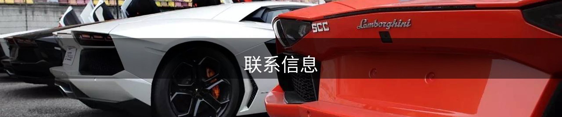 联系信息
